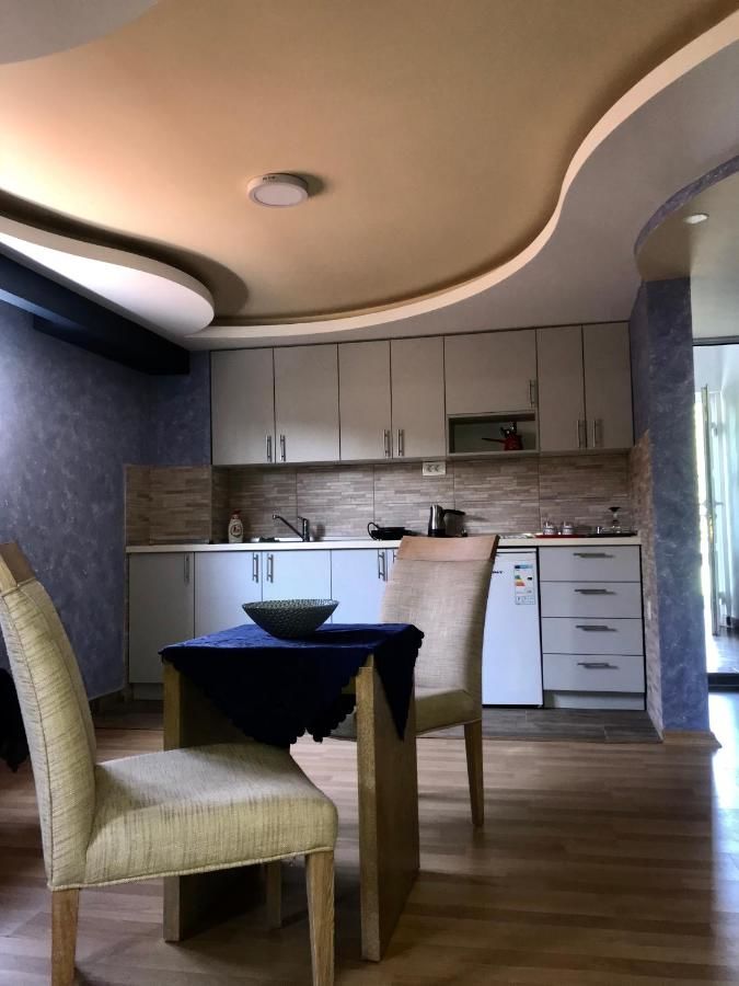Апартаменты Apartments Stanisic Никшич-17