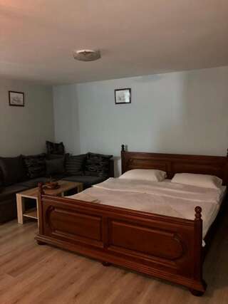 Апартаменты Apartments Stanisic Никшич Апартаменты Делюкс-3