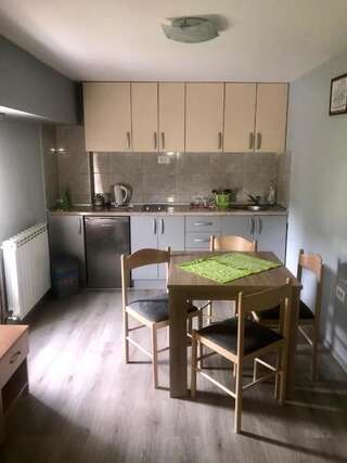 Апартаменты Apartments Stanisic Никшич Апартаменты Делюкс-4